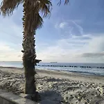 Alba's *