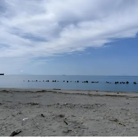 Alba's * Valdina